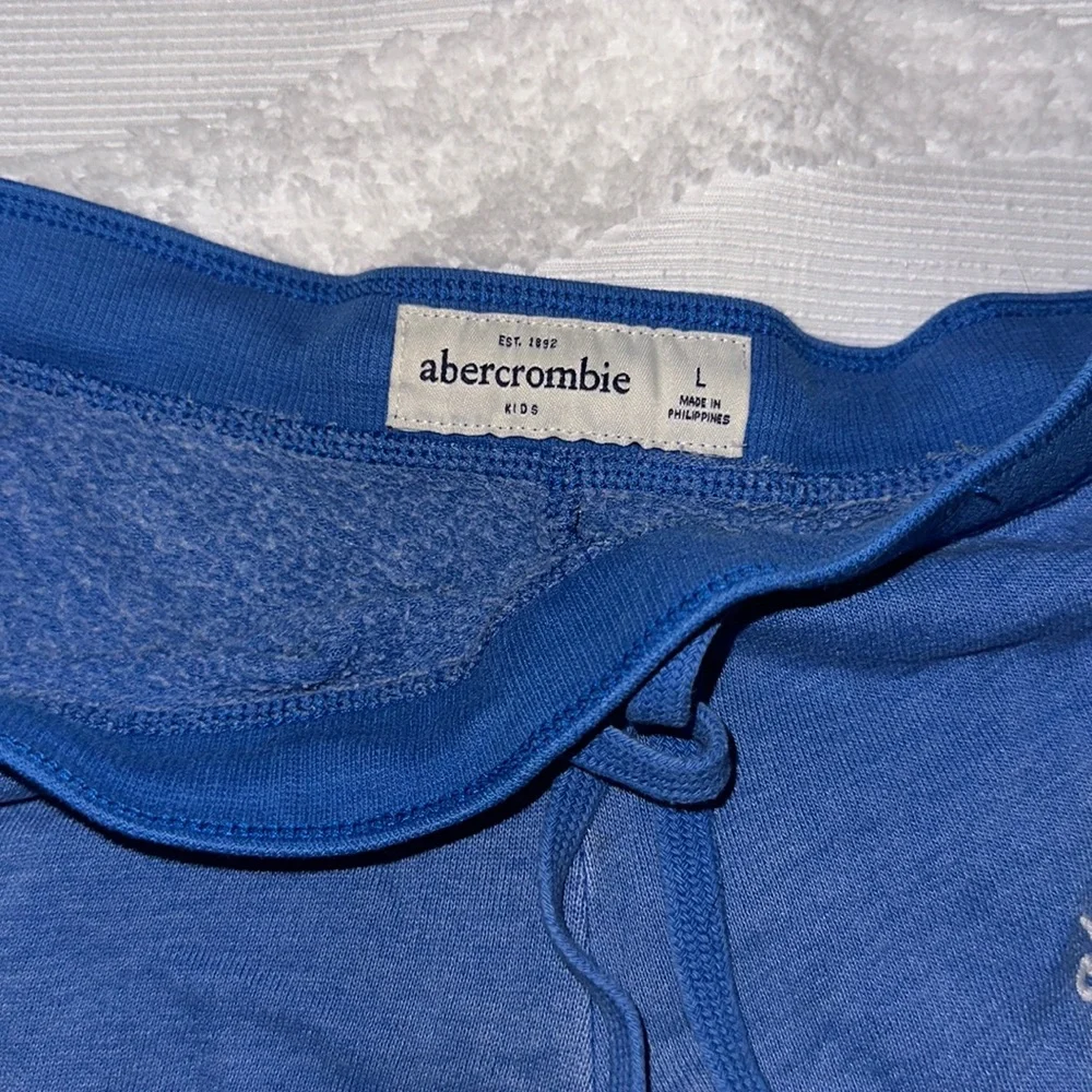 Abercrombie Kids Size L - Blue Shorts - Picture 4 of 6